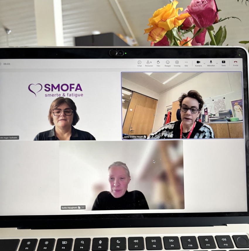 Møte på Stortinget med Anne-Grethe Hauan (FrP)